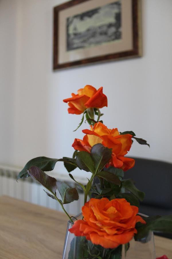 Apartment Dekovic Poreč Eksteriør bilde
